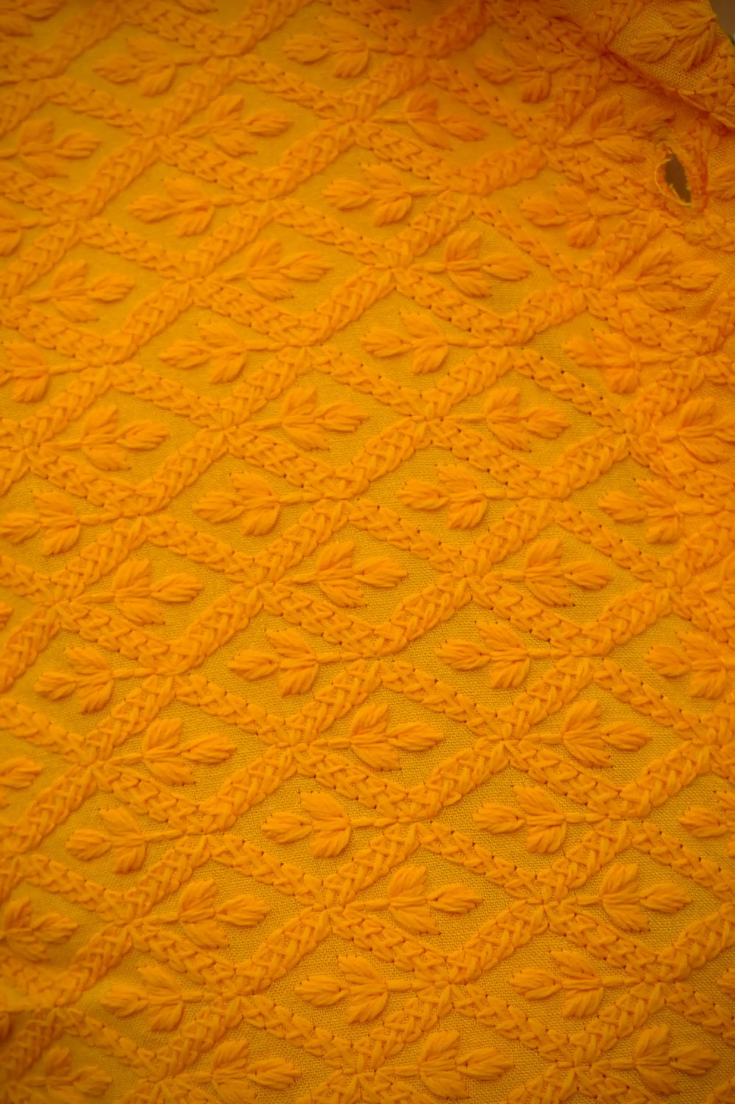 Chikankari Embroidered Women Crop Shirt